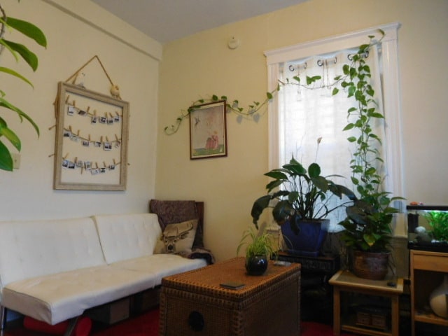 Building Photo - 165 Kelton St