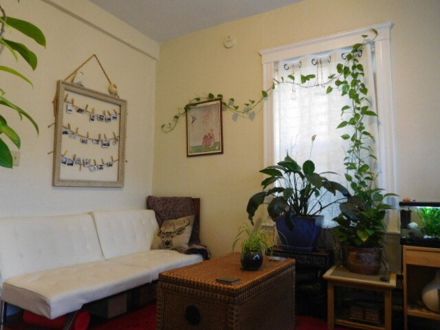 Foto del edificio - 165 Kelton St