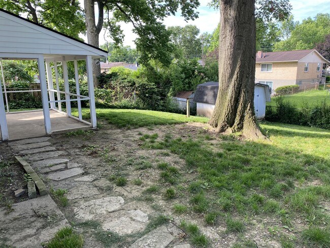 Building Photo - 1263 Moonkist Ct