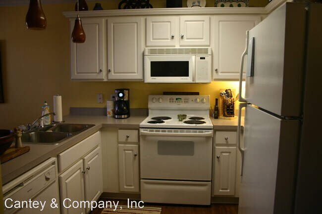 Building Photo - 3 br, 2 bath House - 119 Amelia Forest Lane