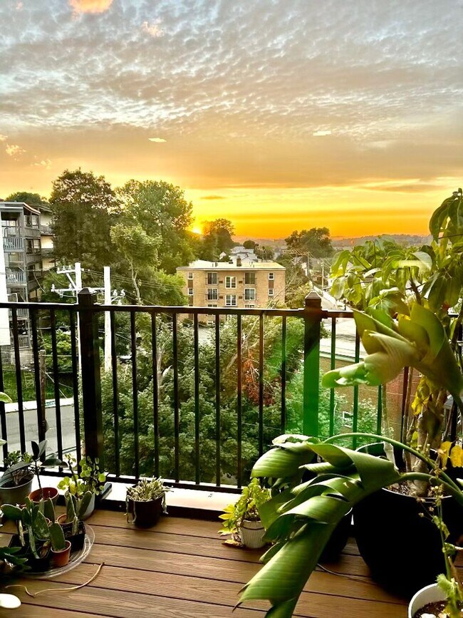 Building Photo - 11 Walley St