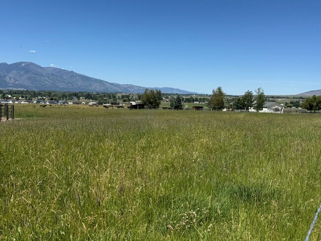 Foto del edificio - 1206 Ambrose Creek Rd