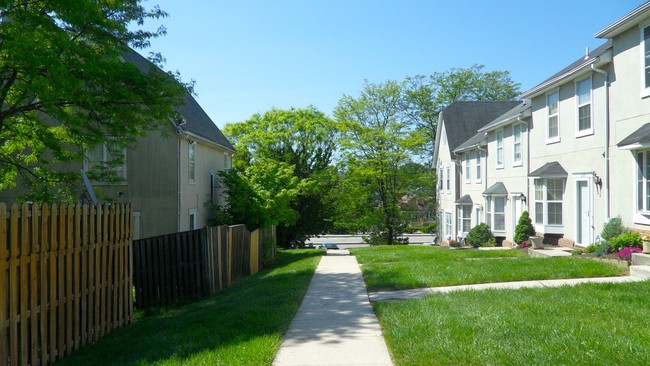 Building Photo - Belvedere Court Student Housing