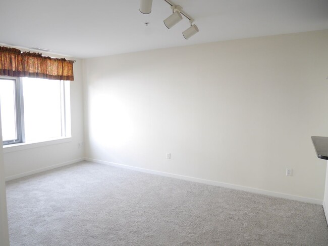 Building Photo - 1 Bedroom Luxury Condo located in Hyattsvi...