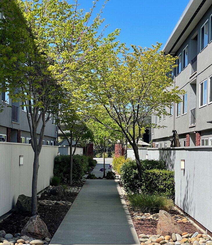 East 19th Avenue Apartments 804820 19th Ave San Mateo, CA