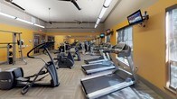 This fitness center is designed to support a comprehensive workout experience within a single, open-plan space. The room is finished with warm yellow accent walls that create an energizing atmosphere, complemented by neutral carpet tile flooring laid in a herringbone pattern for a clean, modern aesthetic. Elevated ceilings with exposed ductwork and industrial-style ceiling fans promote airflow throughout the space, while large windows along one wall invite ample natural light and provide outdoor views.

The cardio zone is generously appointed with multiple treadmills, elliptical trainers, and a stationary bike, each positioned to face wall-mounted flat-screen televisions for an engaging workout experience. The strength training area includes a multi-station cable machine, a Smith machine loaded with weight plates, a dedicated free weight section with a full rack of dumbbells in graduated sizes, and a flat weight bench. Floor-to-ceiling mirrors line one wall, visually expanding the space and allowing users to monitor their form during exercise.

Access to the fitness center is provided through glass-paned French doors, contributing to the open and welcoming character of the space. The overall layout is thoughtfully organized, allowing users to move freely between cardio and strength zones without congestion, making this a functional and well-rounded facility.