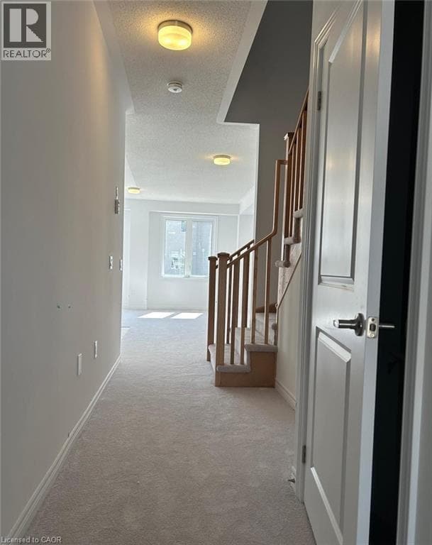 Building Photo - 12 Gauley Dr