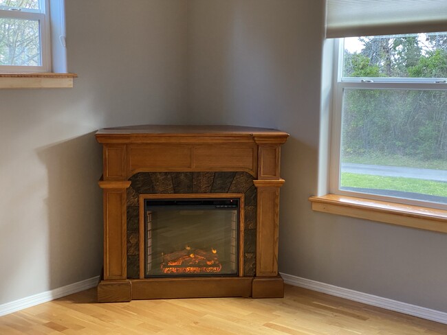 Beautiful electric fireplace - 680 Discovery Rd