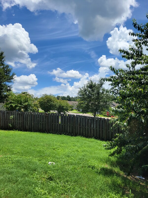 3316 Golden Rain Dr, Tallahassee, FL 32303 House Rental in