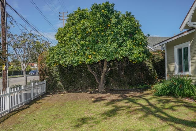 Foto del edificio - 1922 Castillo St