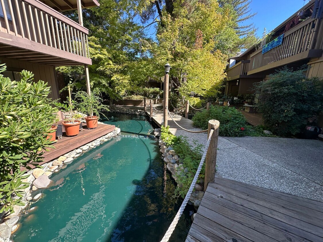 Cute and Cozy 1 Bedroom Condo in Gated Tim... - Cute and Cozy 1 Bedroom Condo in Gated Tim...