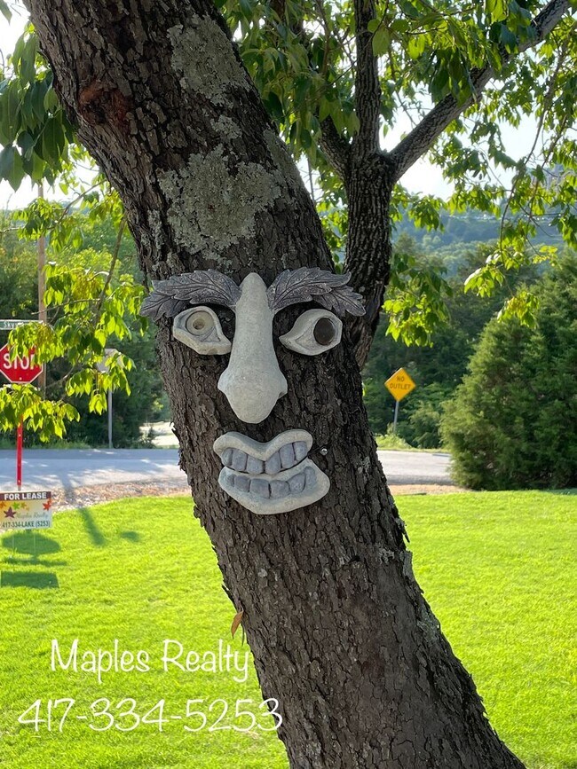 Foto del edificio - VERY NICE 3 bedroom home in Branson, MO fo...