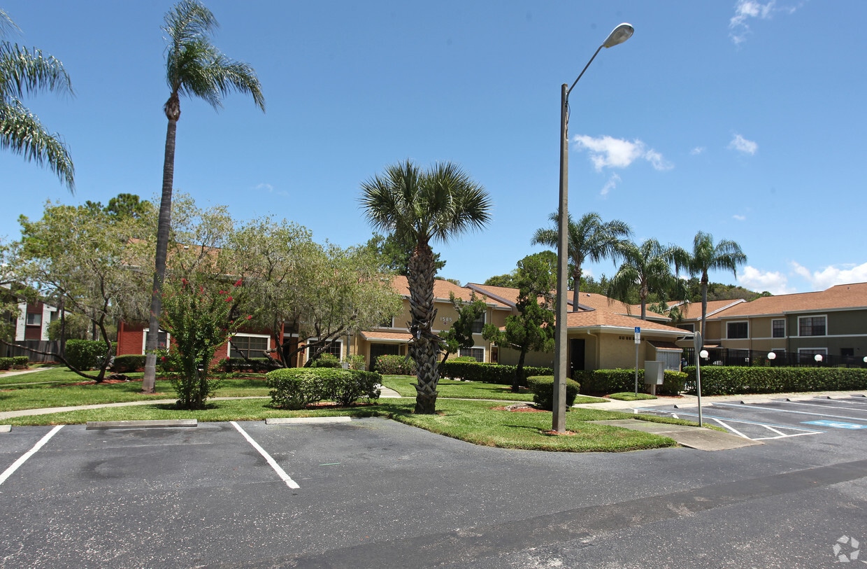 Pineview Apartments 1585 Greenlea Dr Clearwater, FL Apartments for