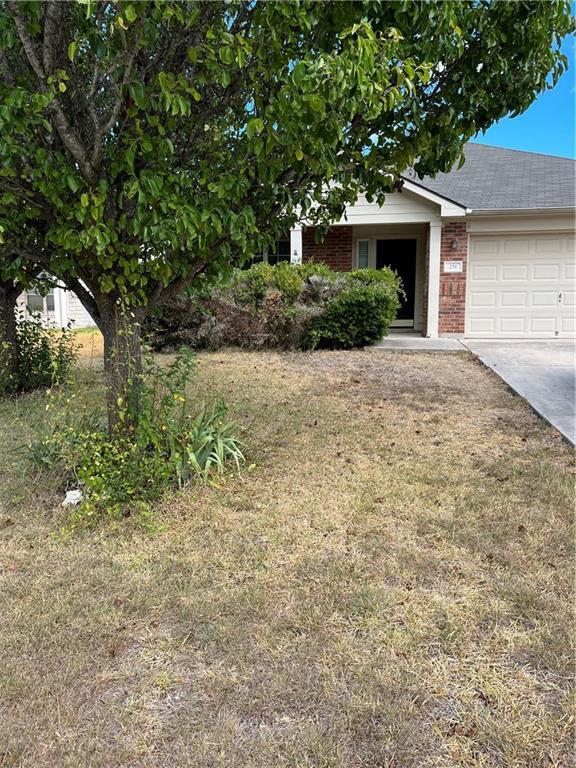 Primary Photo - 251 Goldenrod St