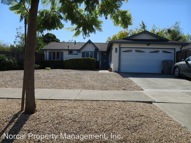 Building Photo - 3 br, 2 bath House - 2416 Dolphin Dr