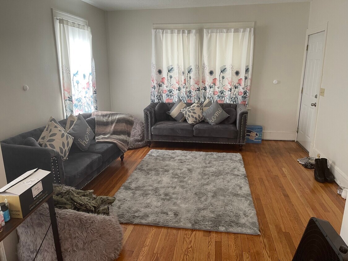 Living room - 160 Easton Ave