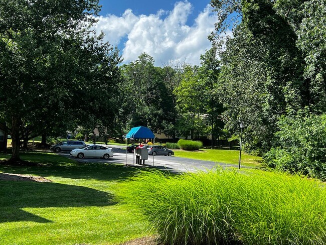 Building Photo - One Bedroom one Bath apartment available i...