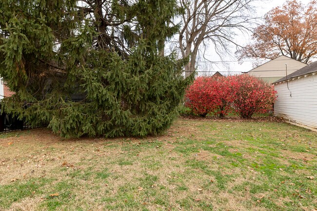 Building Photo - 505 Oxford Pl