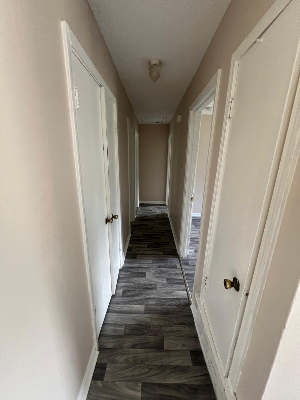 Building Photo - 3058 Lenta Cove