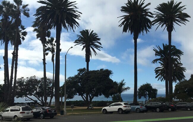 Vista al parque/océano - 833 Ocean Ave