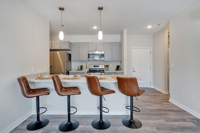 Building Photo - The Belleview - Student Friendly Housing