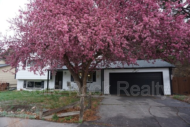 Photo - 4018 Goldenrod Dr House