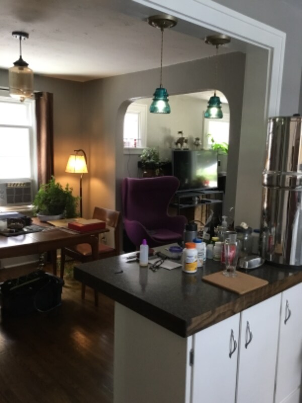 88 Shepard Ave Unit Lower, Kenmore, NY 14217 Apartment for Rent in