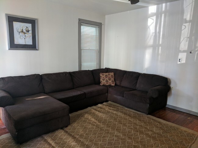 Living Room - 193 Nunda Ave