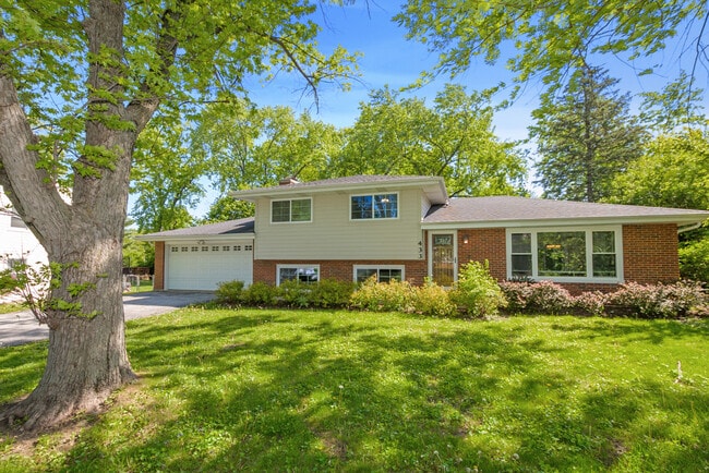 Building Photo - 433 Hackberry Rd