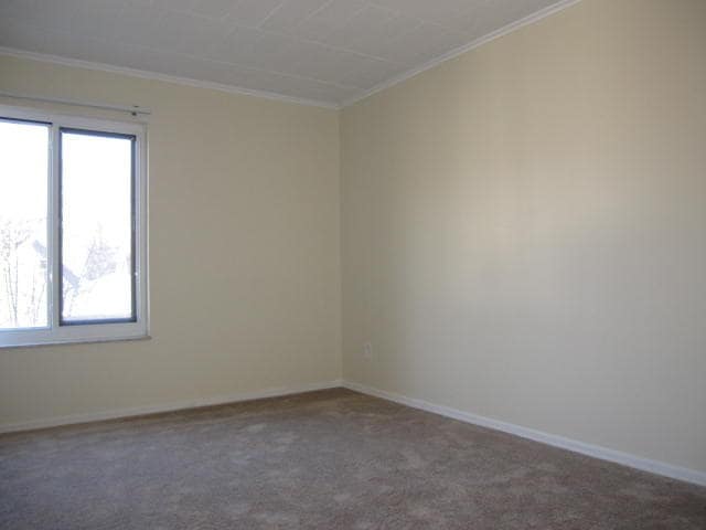 Foto del edificio - TRENT 557