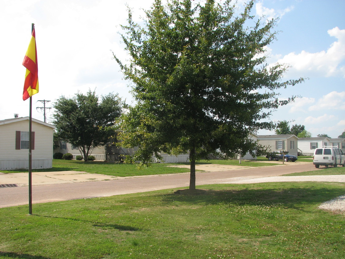 Primary Photo - The Grove of Cayce