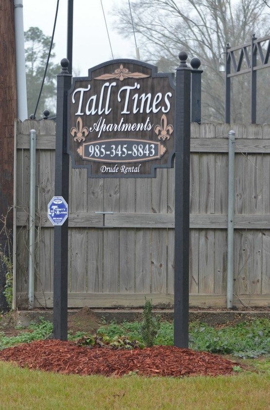 Primary Photo - 15041 Tall Tines Drive