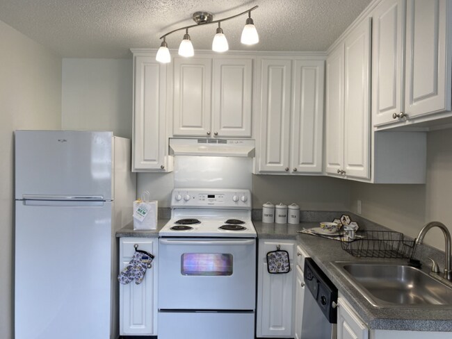 Building Photo - 1005 Hickory Hill Ln