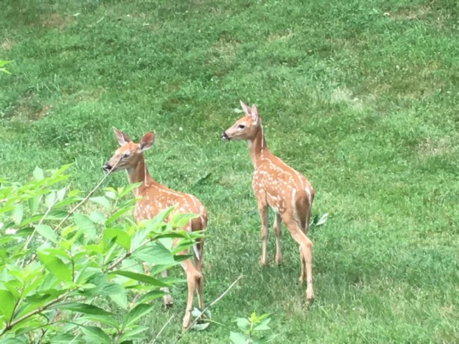 Daily Visitors - St. Andrews Apartments