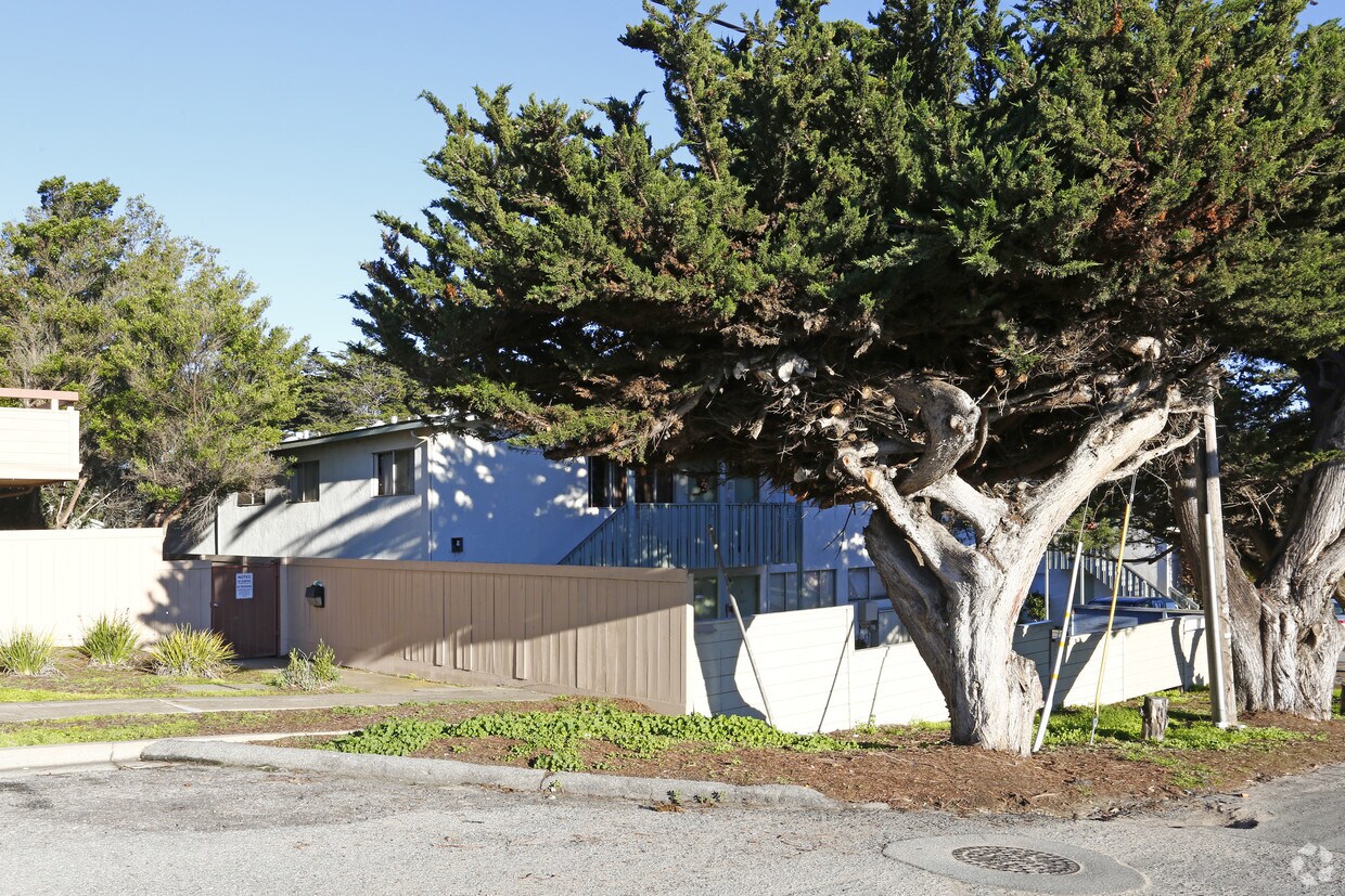 3119 Marina Dr. - 3119 Marina Dr