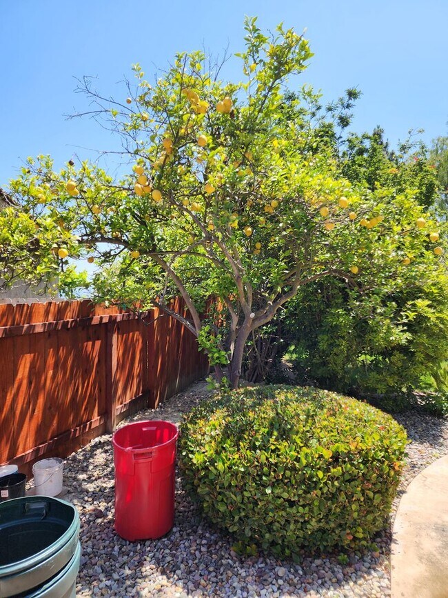 Foto del edificio - Large 3 bedroom home in quiet cul-de-sac with large backyard - Pets allowed