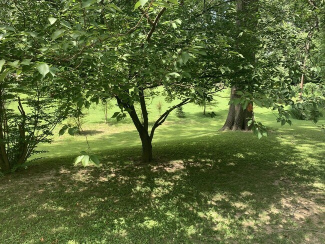 Foto del edificio - 8327 Lonkar