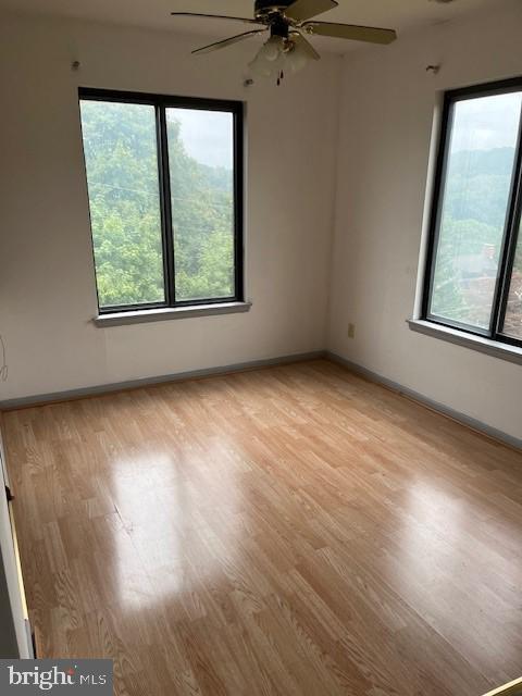 Building Photo - 42 Maple St