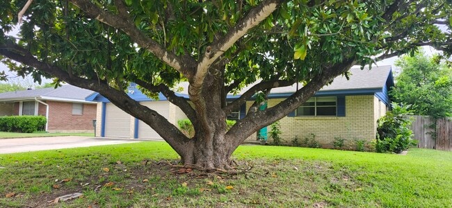 Fantastic photo background! - 3917 Lancelot Ln