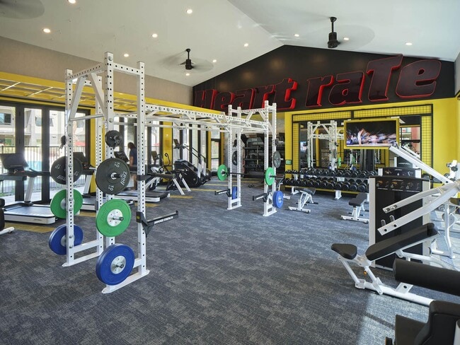 24-Hour Fitness Studio - Halogen
