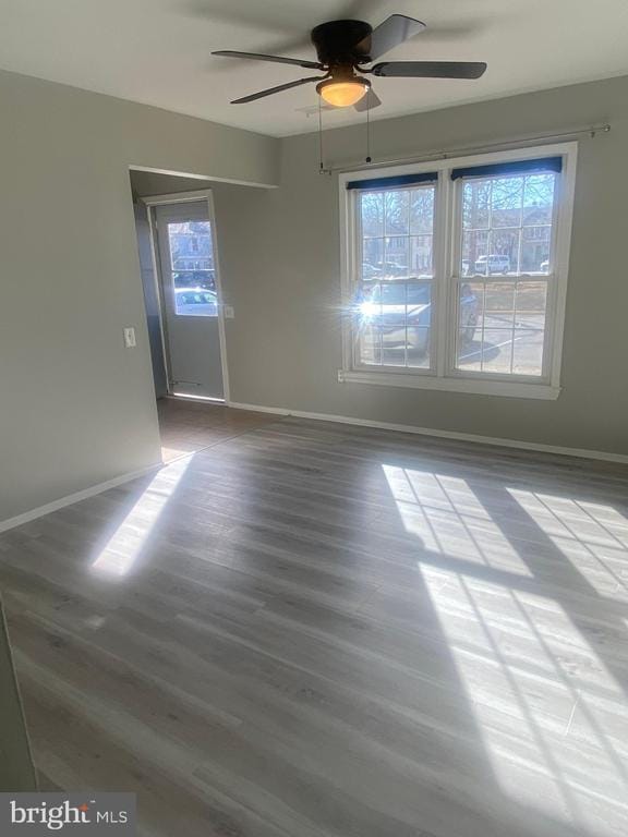 Building Photo - 2619 Rooks Head Pl