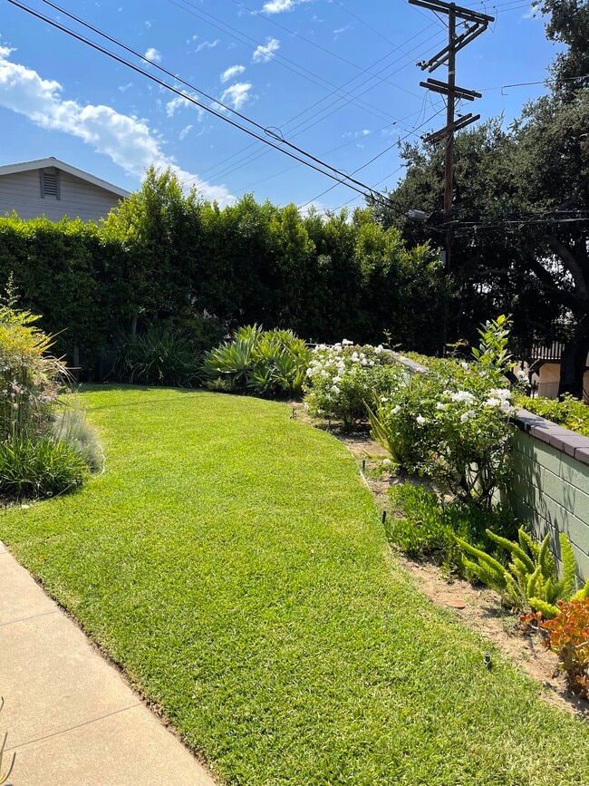 Front Lawn - 1268 Las Flores Dr