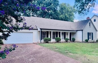 Building Photo - 8618 Wine Leaf Cove
