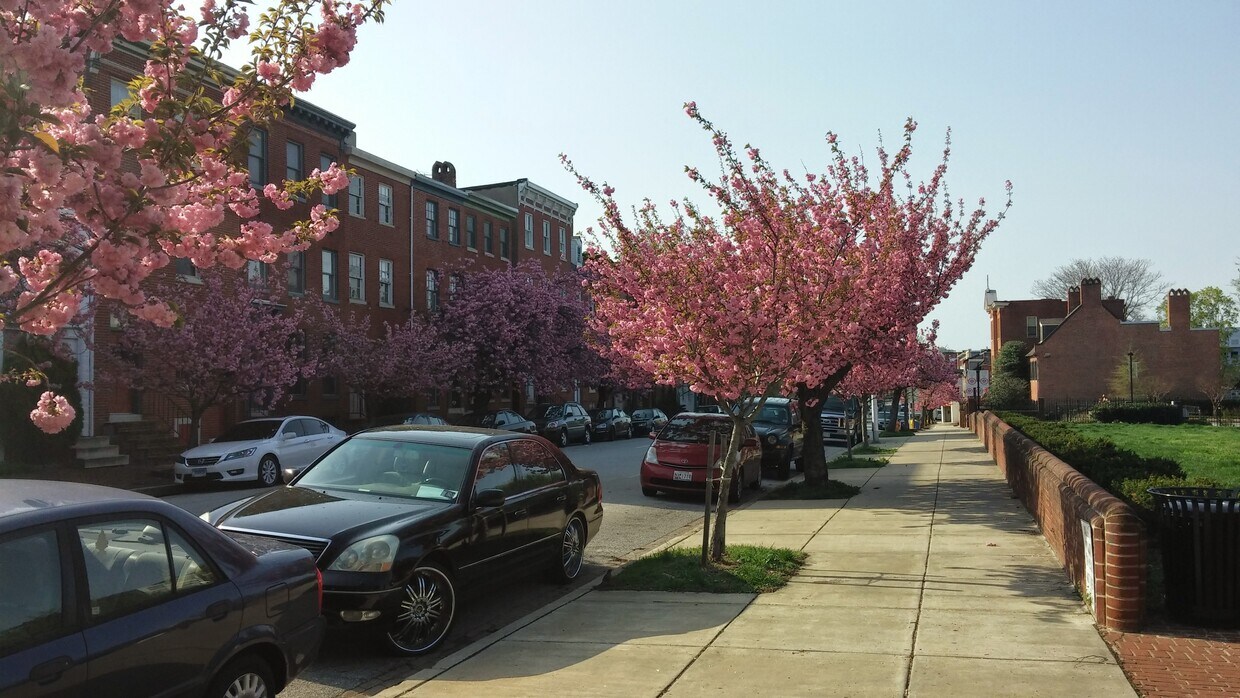 Paca St. view - 626 Jasper St