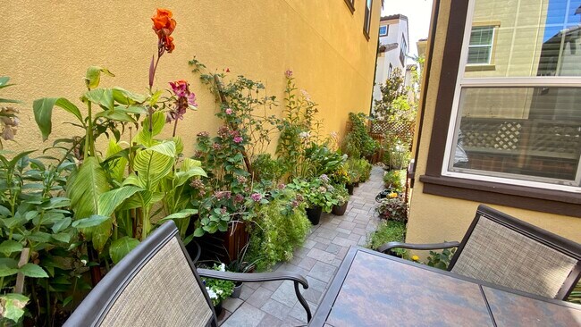 Photo - 3013 Vittoria Loop House