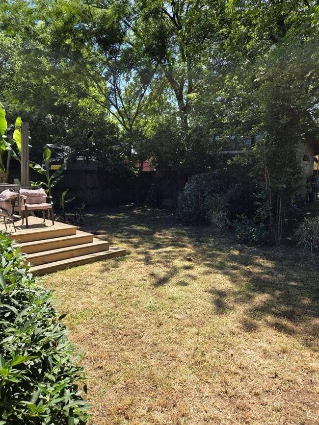 Back yard - 249 Powell St SE