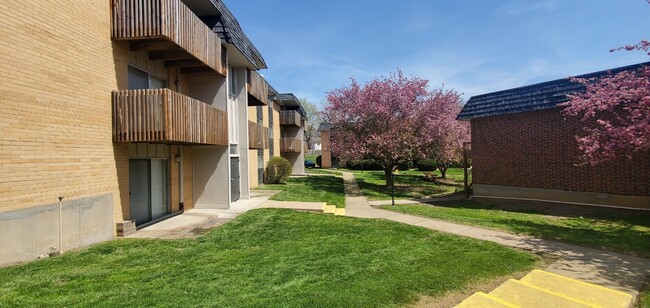 Foto del edificio - Alta Village Apartments