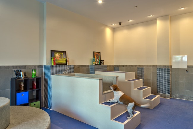 Pet Spa - Berkshire Main Street Apartments