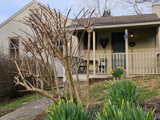 Foto del edificio - 825 Creek Rd