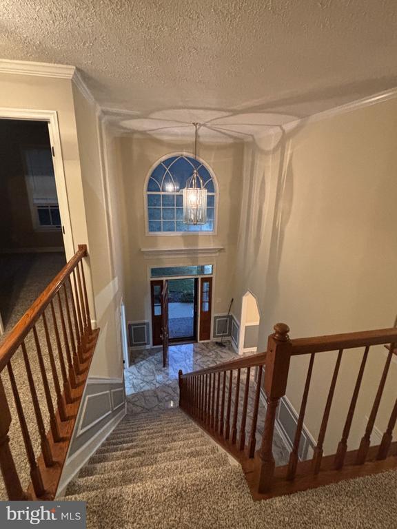 Foto del edificio - 9238 Crescent Ln